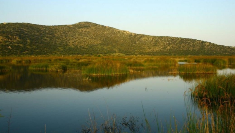 Απαγόρευση κυκλοφορίας στο Εθνικό Πάρκο Σχινιά την Τετάρτη