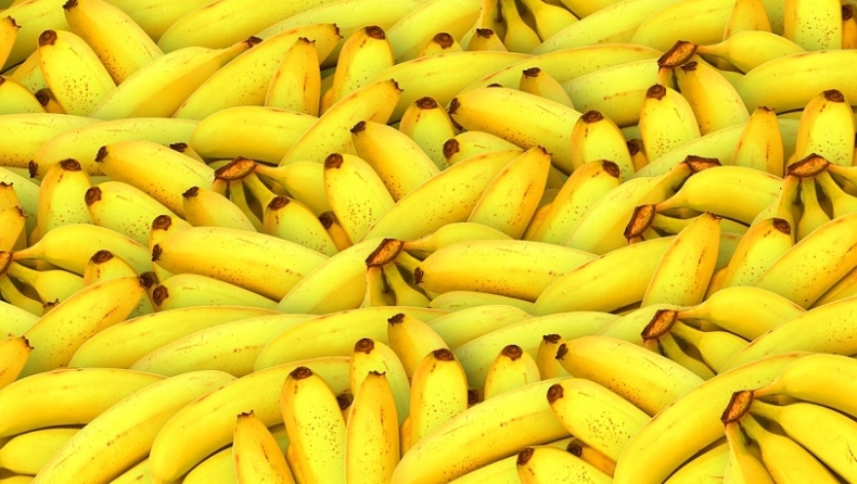 Πάνω από μισός τόνος κοκαΐνης εντοπίστηκε σε κοντέινερ με μπανάνες στον Πειραιά (vid)
