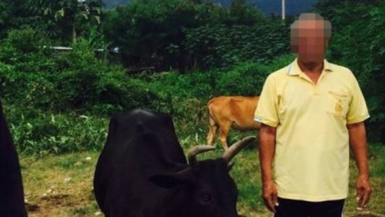 Γυμνός 68χρονος πιάστηκε να ερωτοτροπεί με αγελάδα και την γλίτωσε μόνο με 8 ευρώ (pics)