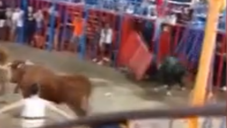 Μαινόμενος ταύρος παραλίγο να σκοτώσει παιδί που παρακολουθούσε ταυρομαχία (vid)