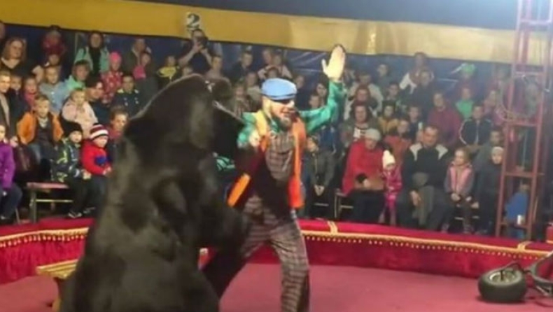 Αρκούδα επιτέθηκε σε θηριοδαμαστή τσίρκου μπροστά σε μικρά παιδιά (vid)