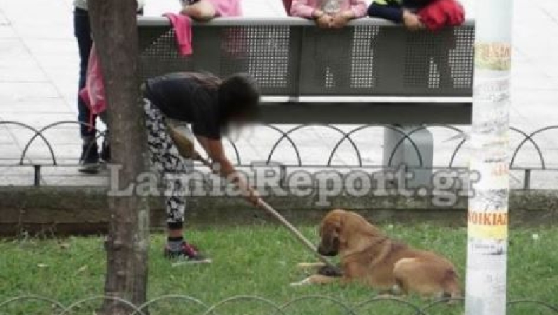 Ανήλικοι στην Λαμία έριχναν νεογέννητο γατάκι σε σκύλο για να το φάει (vid)