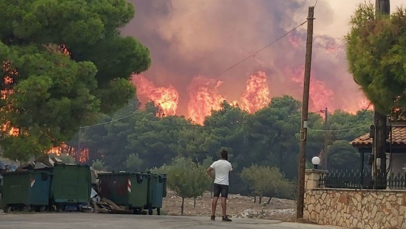 Ο τραγικός απολογισμός από τις 83 πυρκαγιές στην Ζάκυνθο