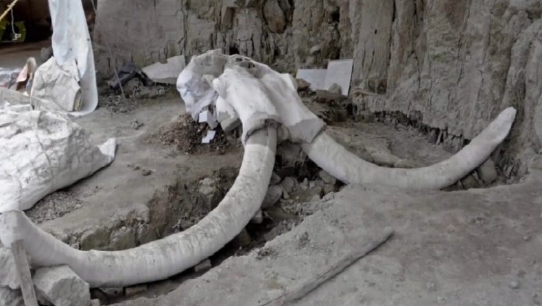 Τρομερή ανακάλυψη: Βρέθηκαν παγίδες για μαμούθ 15.000 ετών (pics & vid)