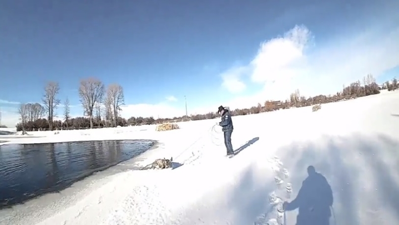 Σερίφης σώζει με το λάσο του ελάφι που έπεσε σε παγωμένη λίμνη (vid)