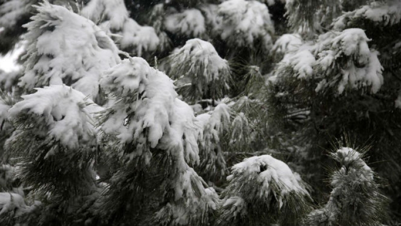 Ποδαρικό με τσουχτερό κρύο έκανε ο Δεκέμβριος στη Βόρεια Ελλάδα: Τα πρώτα χιόνια στη Φλώρινα (vid)