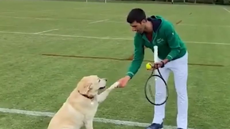 O Τζόκοβιτς μαθαίνει τα μυστικά του τένις σε σκύλο (vid)