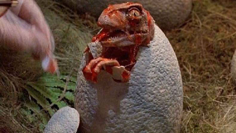Εκπληκτικά διατηρημένα αυγά δεινοσαύρου αποκάλυψαν πως εκκολαπτόταν σαν τα σημερινά πουλιά (pics)