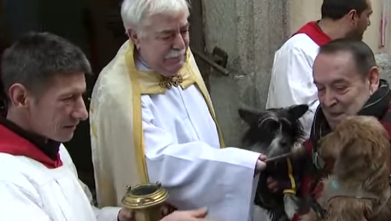 Σκύλοι, γάτες, πουλιά και… χάμστερ πήγαν στην εκκλησία για ευλογία (vid)