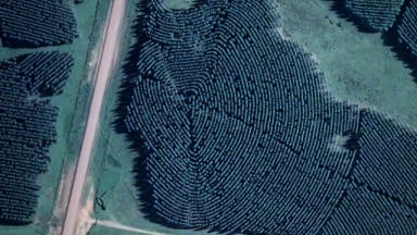 Το δάσος στην Ουρουγουάη που μοιάζει με δακτυλικό αποτύπωμα: Η ανακάλυψη που έχει προβληματίσει τους επιστήμονες (vid)