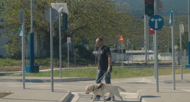 Πώς εκπαιδεύονται οι σκύλοι-οδηγοί για κίνηση στην πόλη (vid)