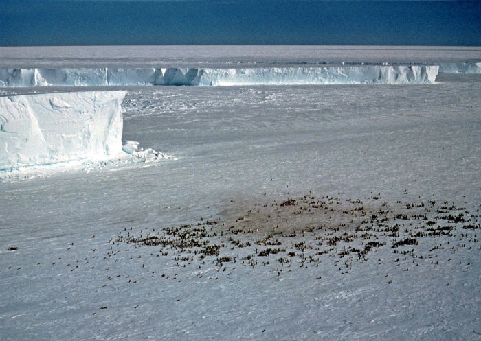 Ανακαλύφθηκαν 3 γιγάντια φαράγγια θαμμένα κάτω από τους πάγους της Ανταρκτικής 