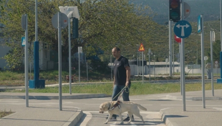 Πώς εκπαιδεύονται οι σκύλοι-οδηγοί για κίνηση στην πόλη (vid)