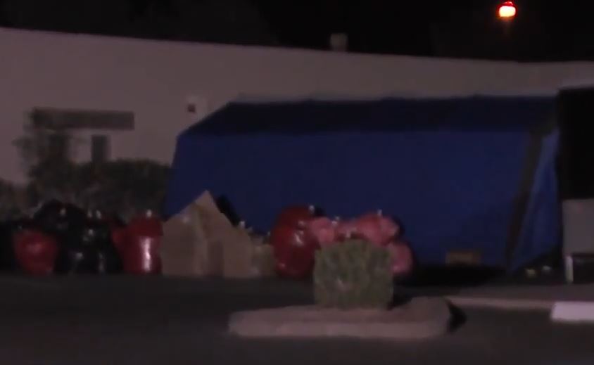 Ανθρώπινα μέλη