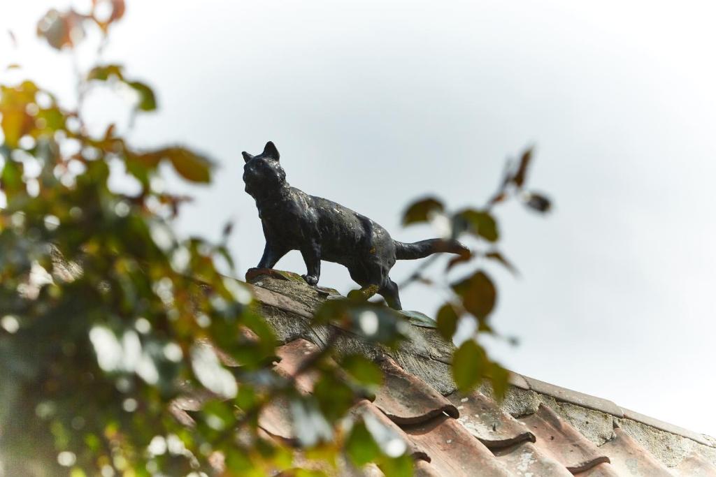 Η μαύρη γάτα στο Auberge du pecheur