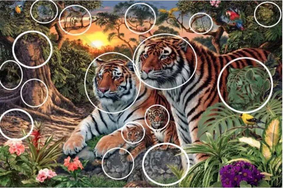 16 τίγρεις