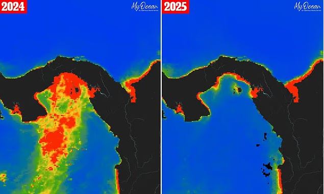 Η διαφορά από το 2024 μέχρι το 2025