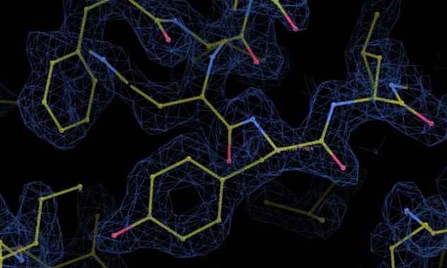 Επιστημονικά δεδομένα, που φαίνεται πώς τα άτομα οργανώνονται σε μία πρωτεΐνη.