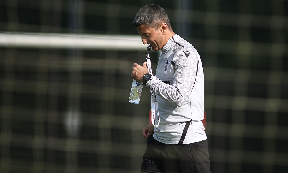 Ο Ραζβάν Λουτσέσκου στην Ολλανδία