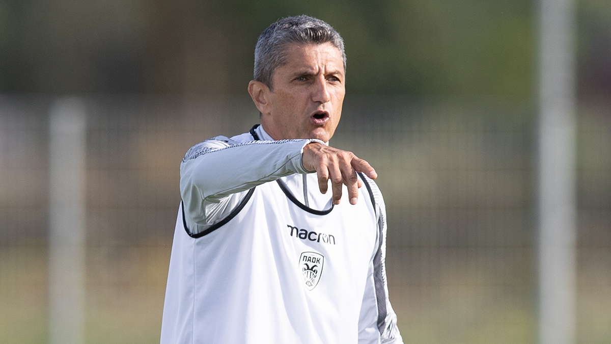 Ο Ραζβάν Λουτσέσκου στην Ολλανδία