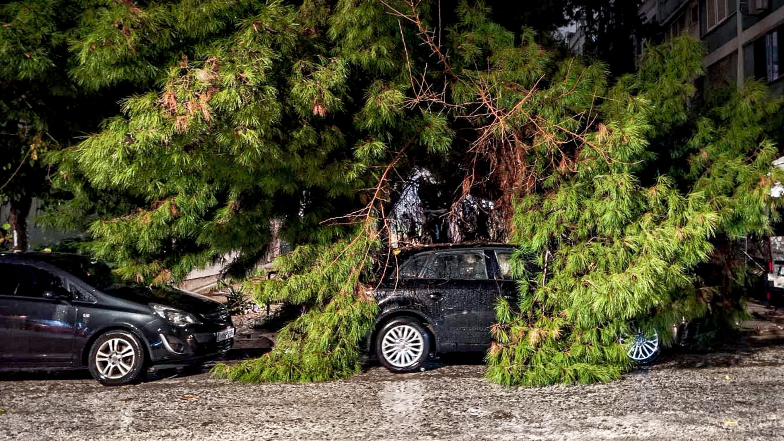 Αυτοκίνητο