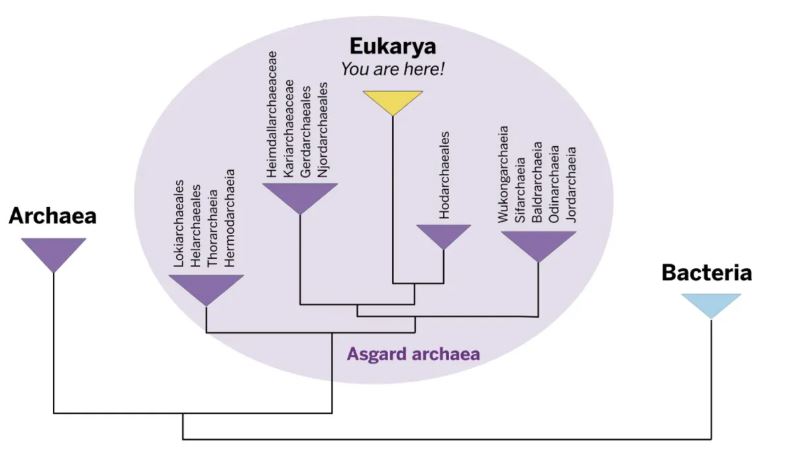 Ο πίνακας της μελέτης