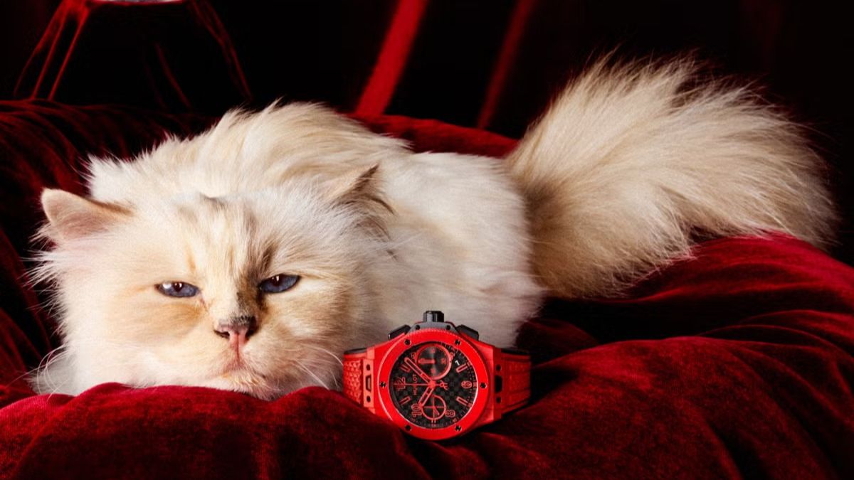 H Choupette