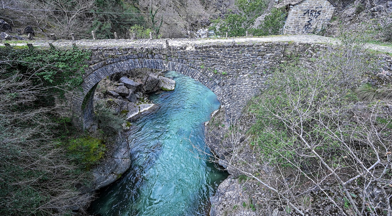 Renault Arkana 140 EDC 2024