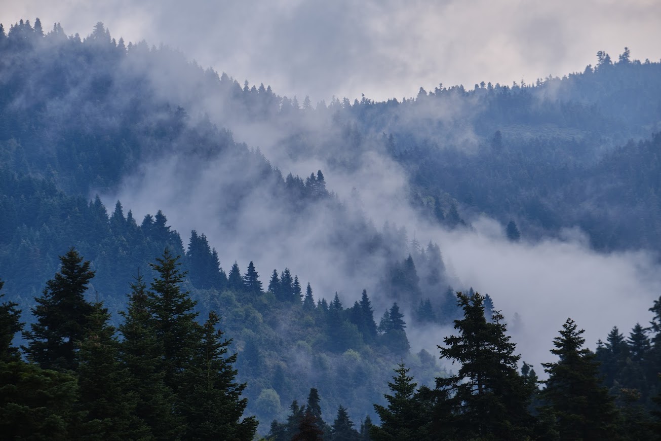 ΕΚΟ Ράλλυ Ακρόπολις 2022