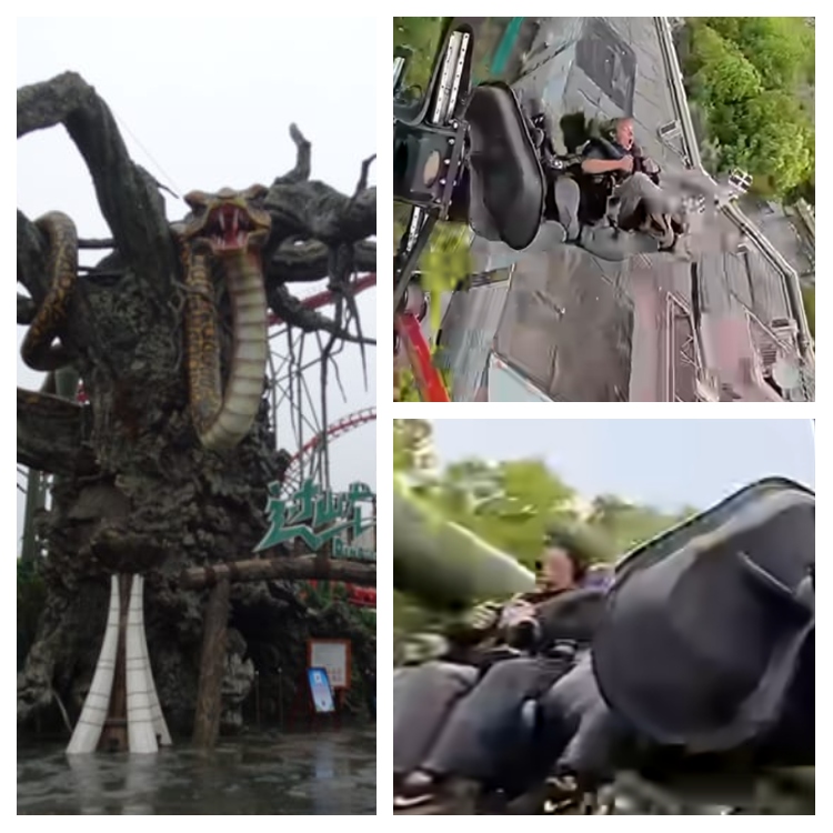 Το Dinoconda στο China Dinosaur Park