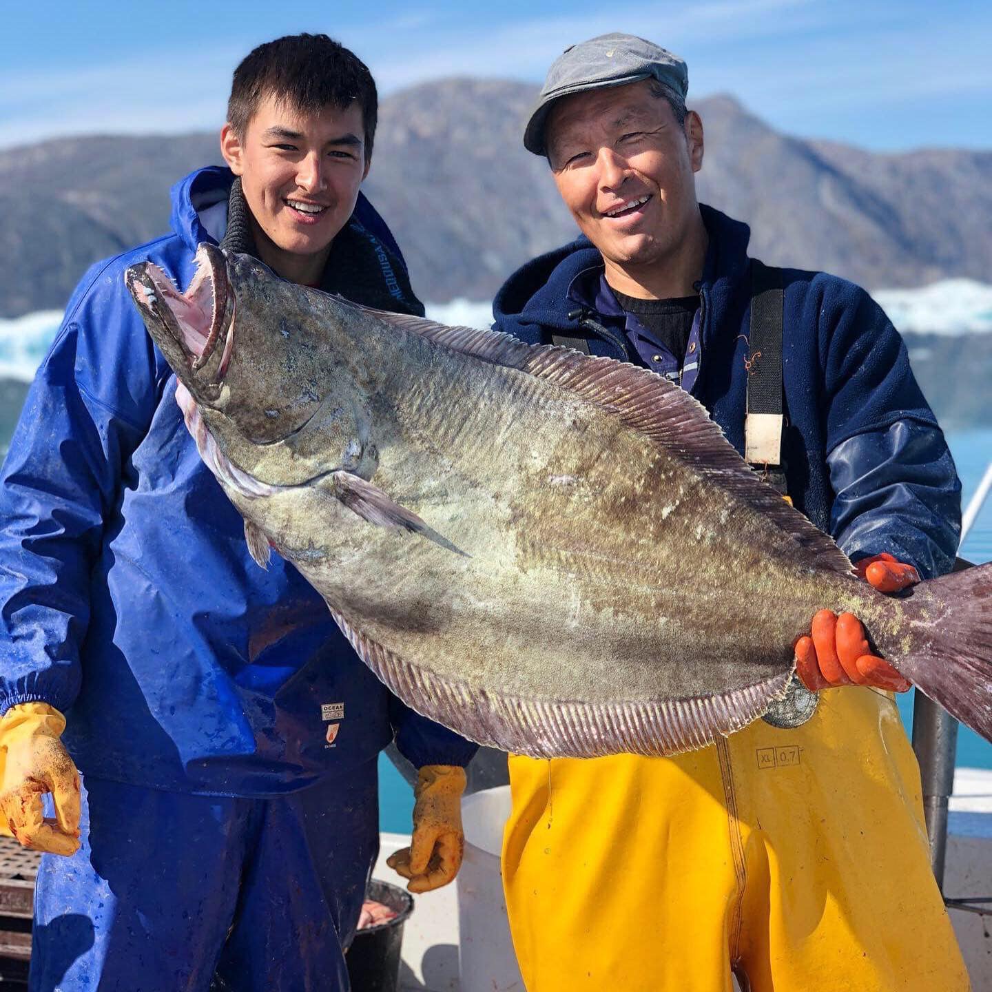 Γροιλανδοί με ιππόγλωσσο