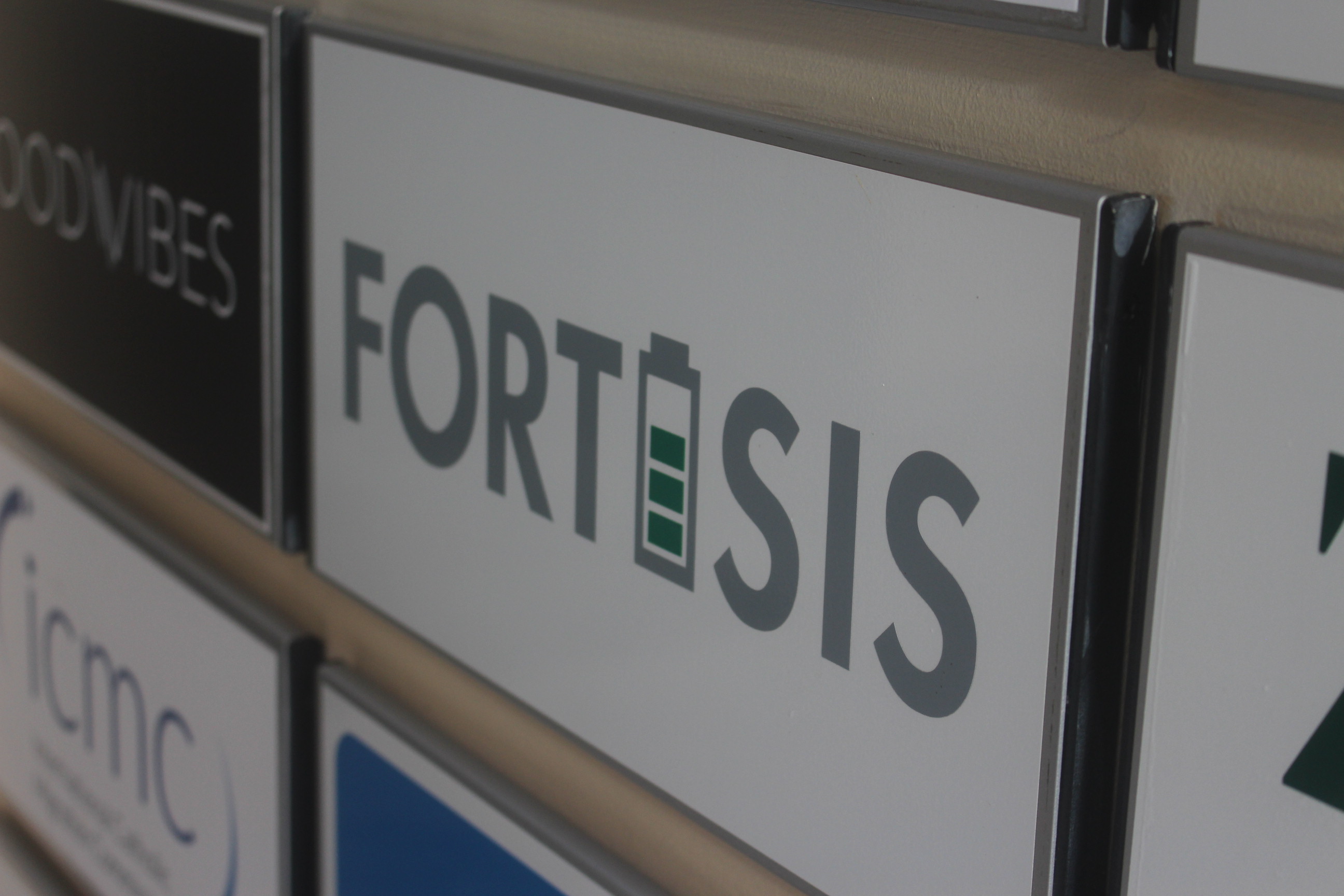 Fortisis