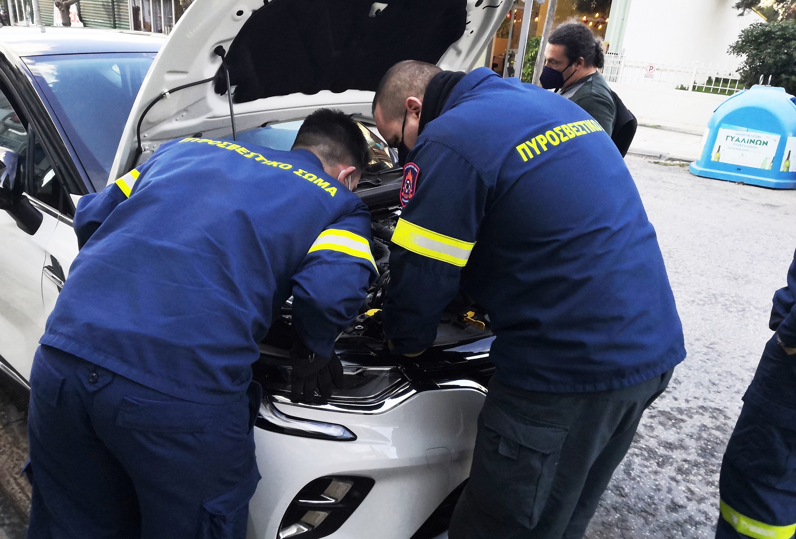 Γάτος Ράιαν