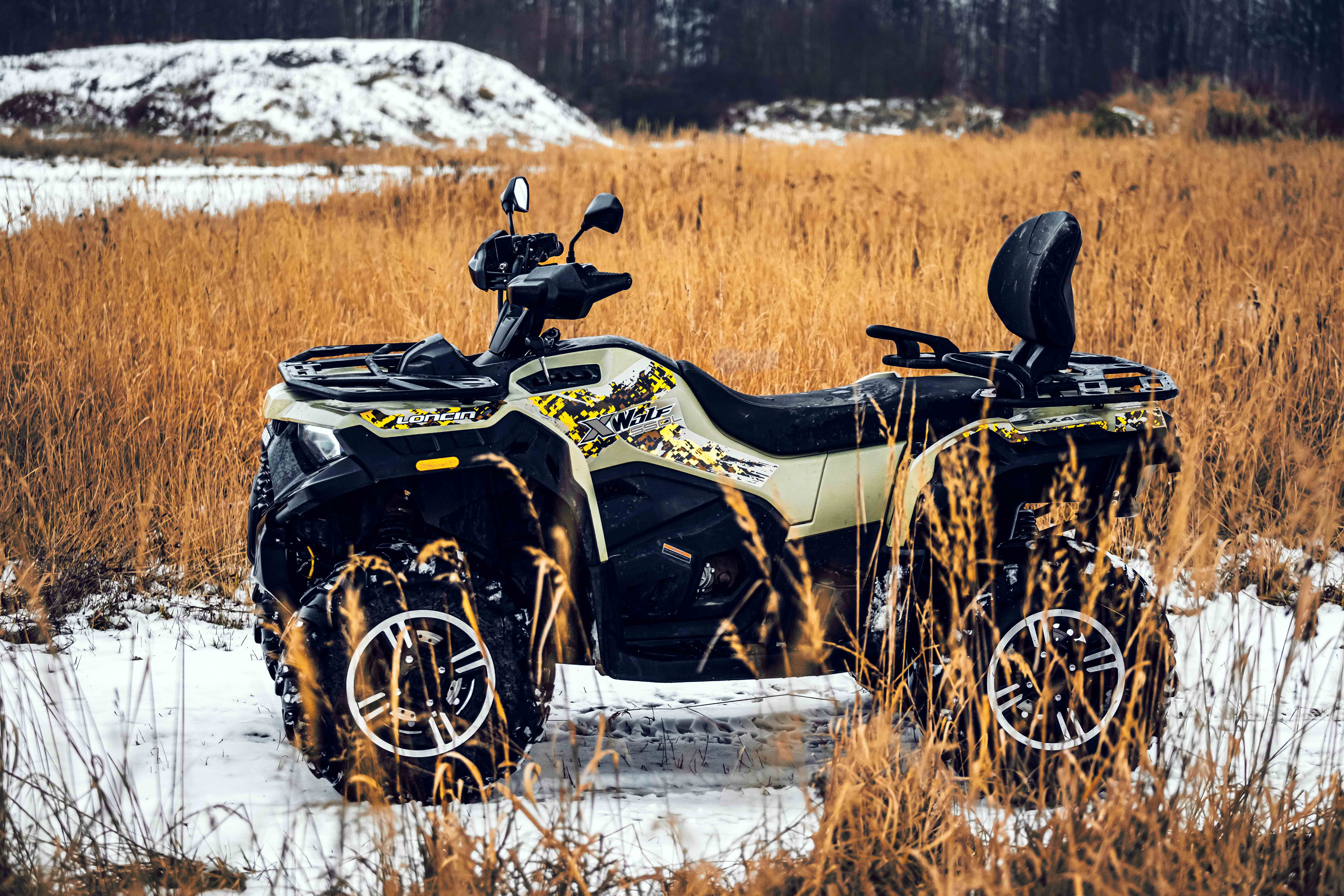 Loncin XWolf 550L