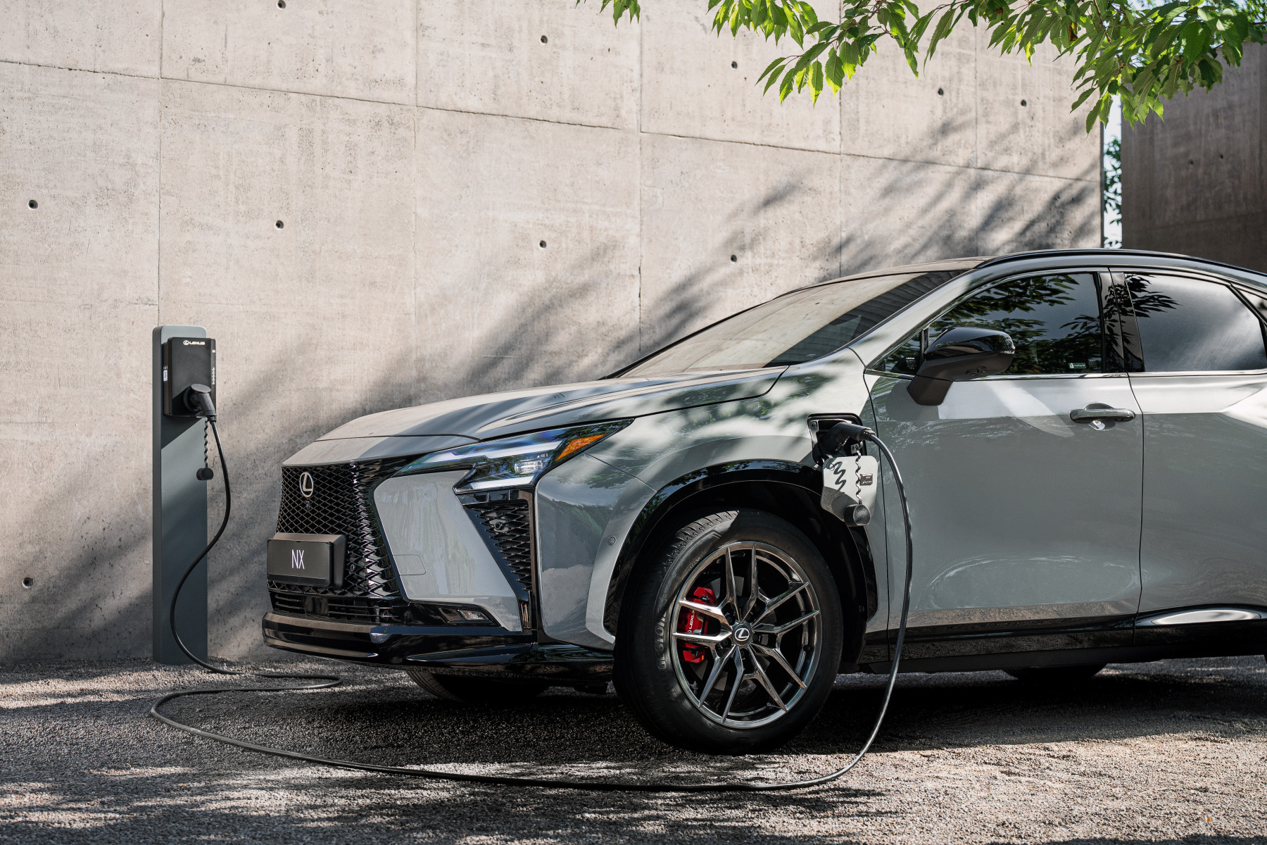 Lexus