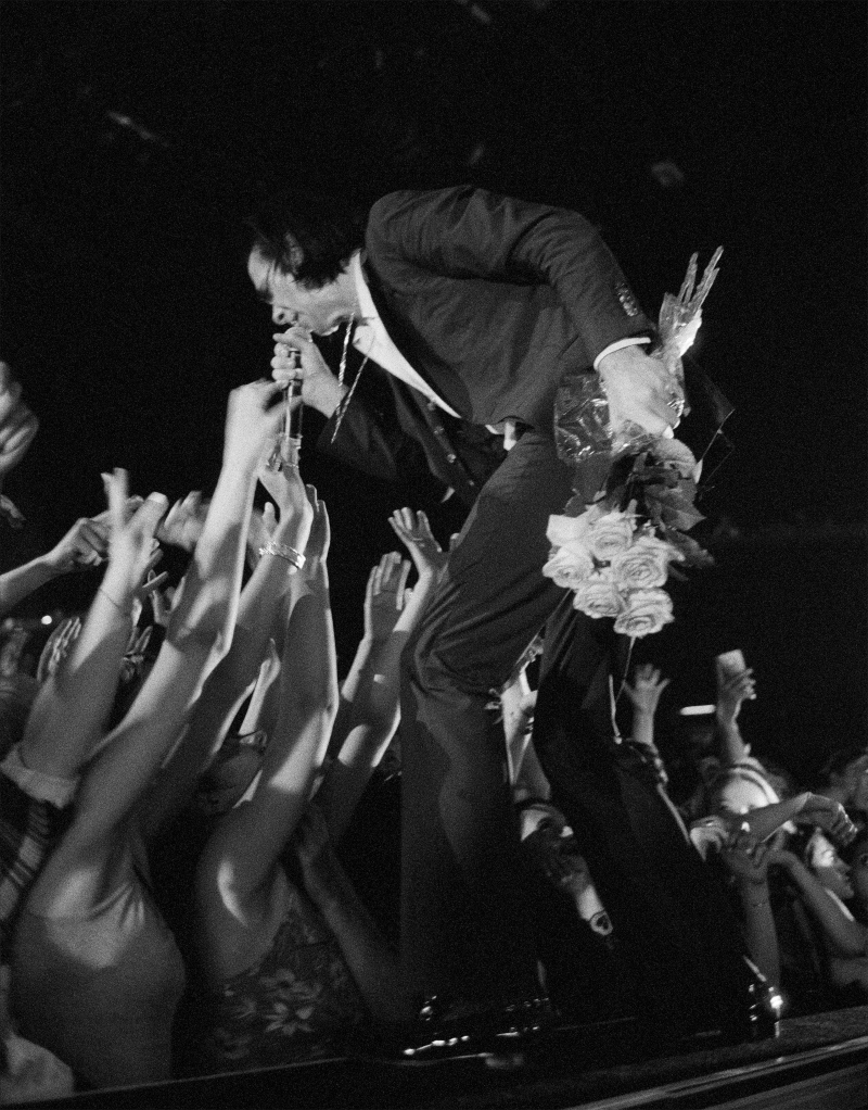Nick Cave