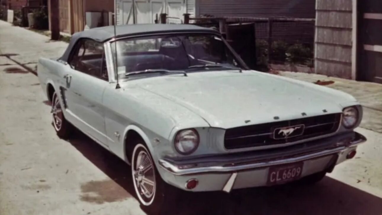 mustang