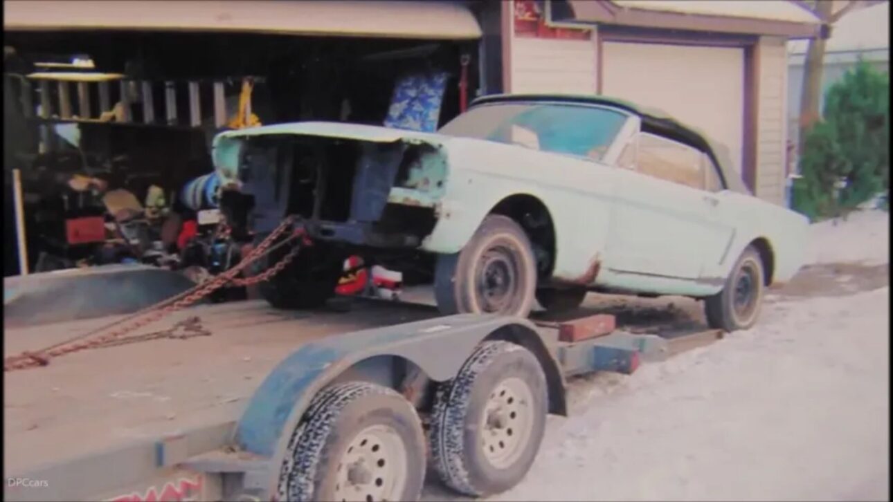 mustang 3