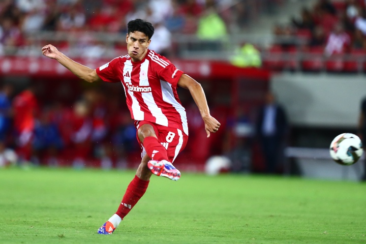 Ο Στάμενιτς