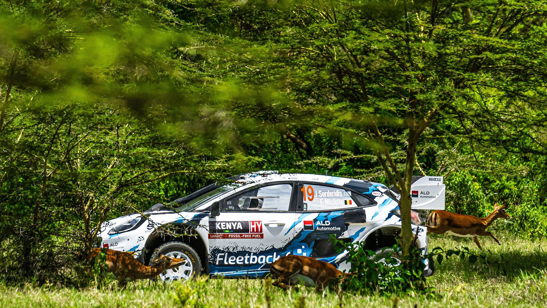 Ράλλυ Σαφάρι