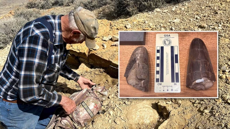Δύο σπάνια ευρήματα από το Γουαϊόμινγκ
