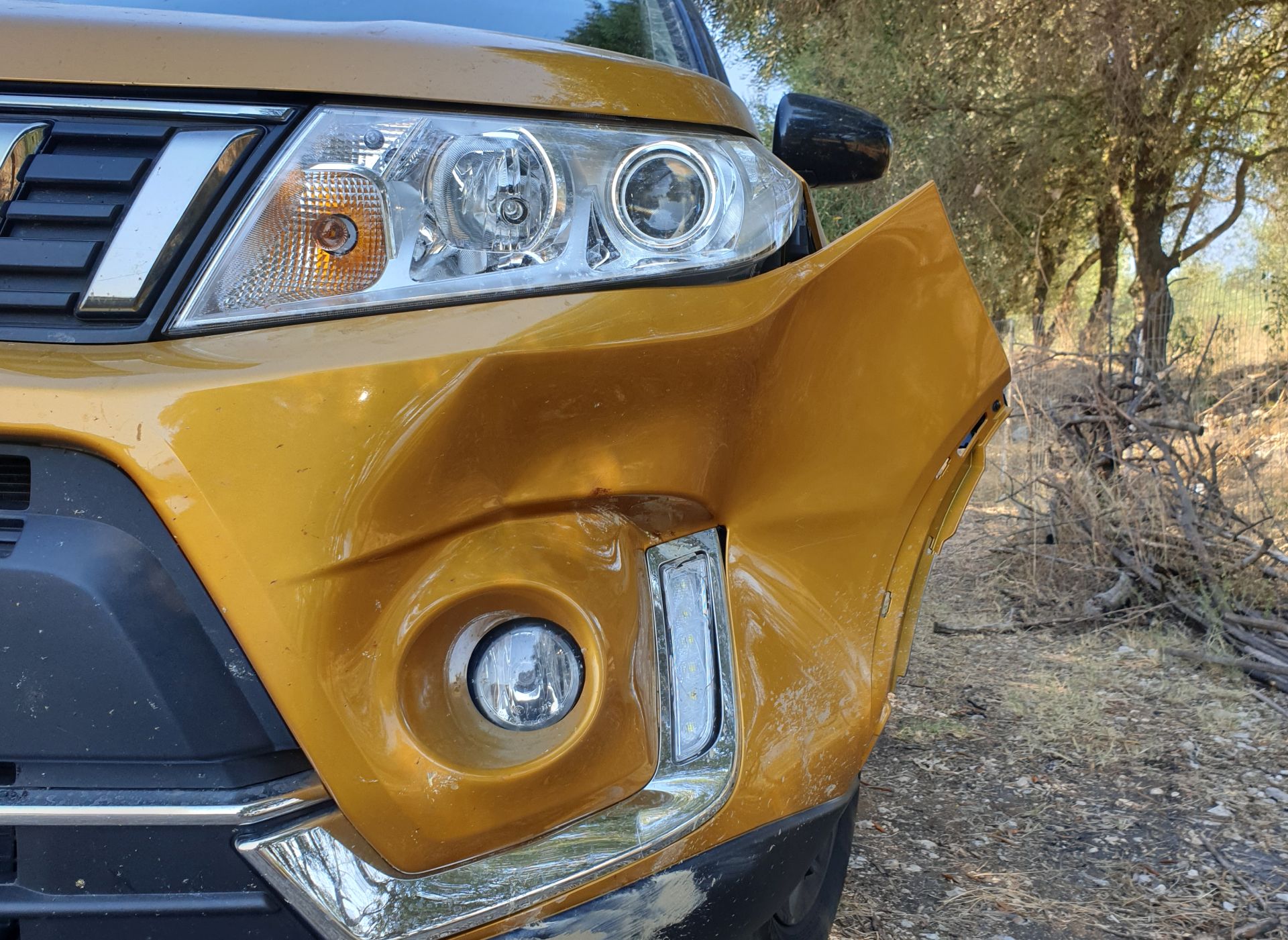 Suzuki Vitara Αγριογούρουνο