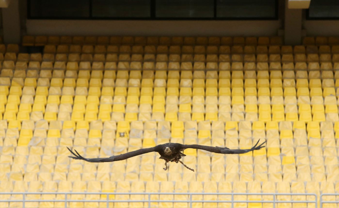 Ο αετός στην Αγιά Σοφιά - OPAP Arena