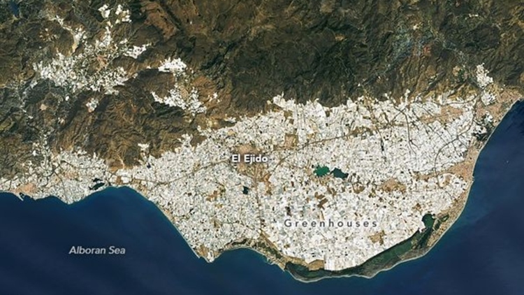 Ένα μοντέλο συνεργατικής γεωργίας