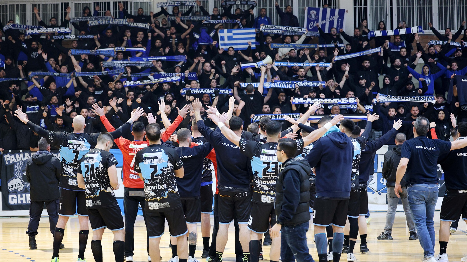 anorthosi