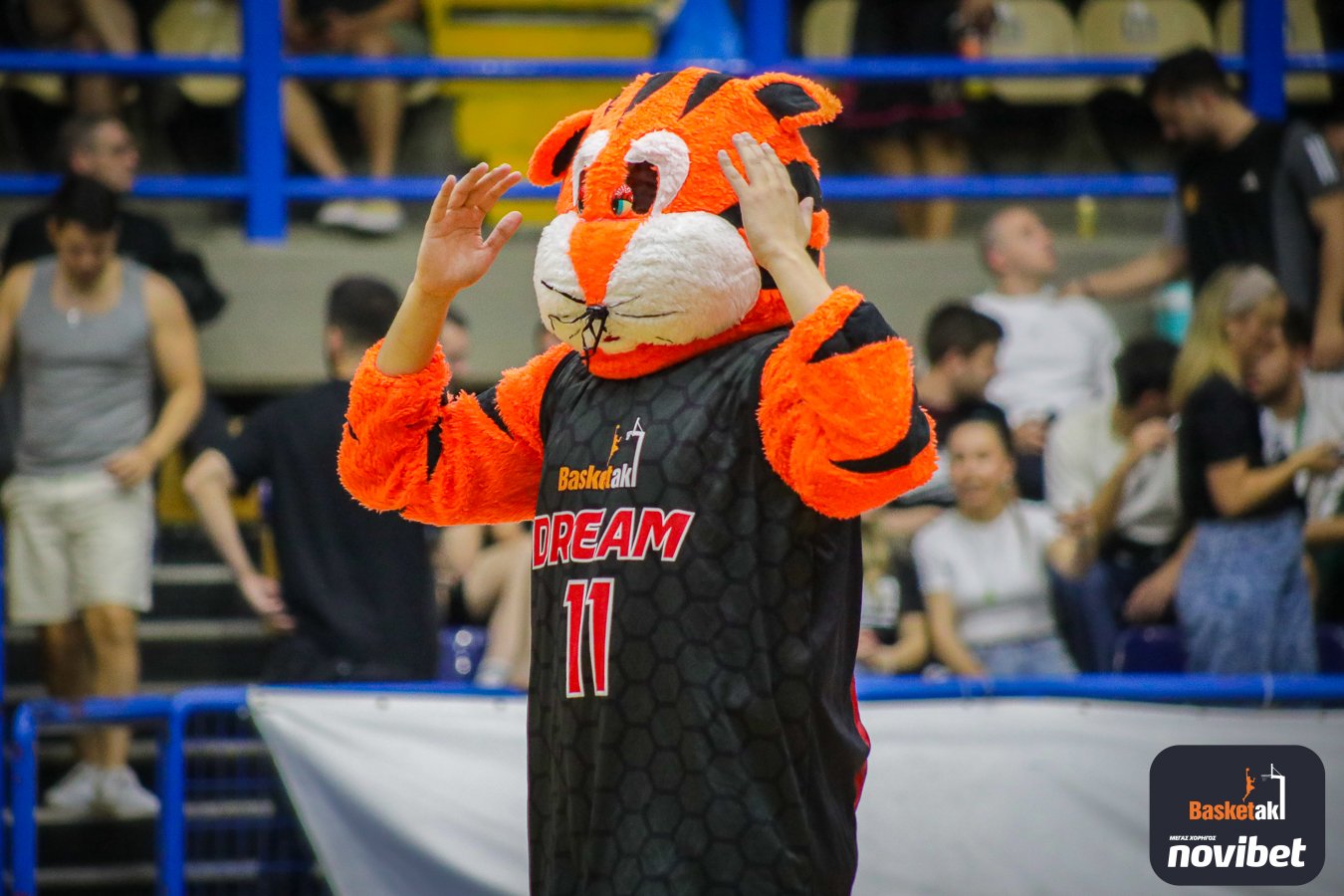 Από αγώνα για το basketaki