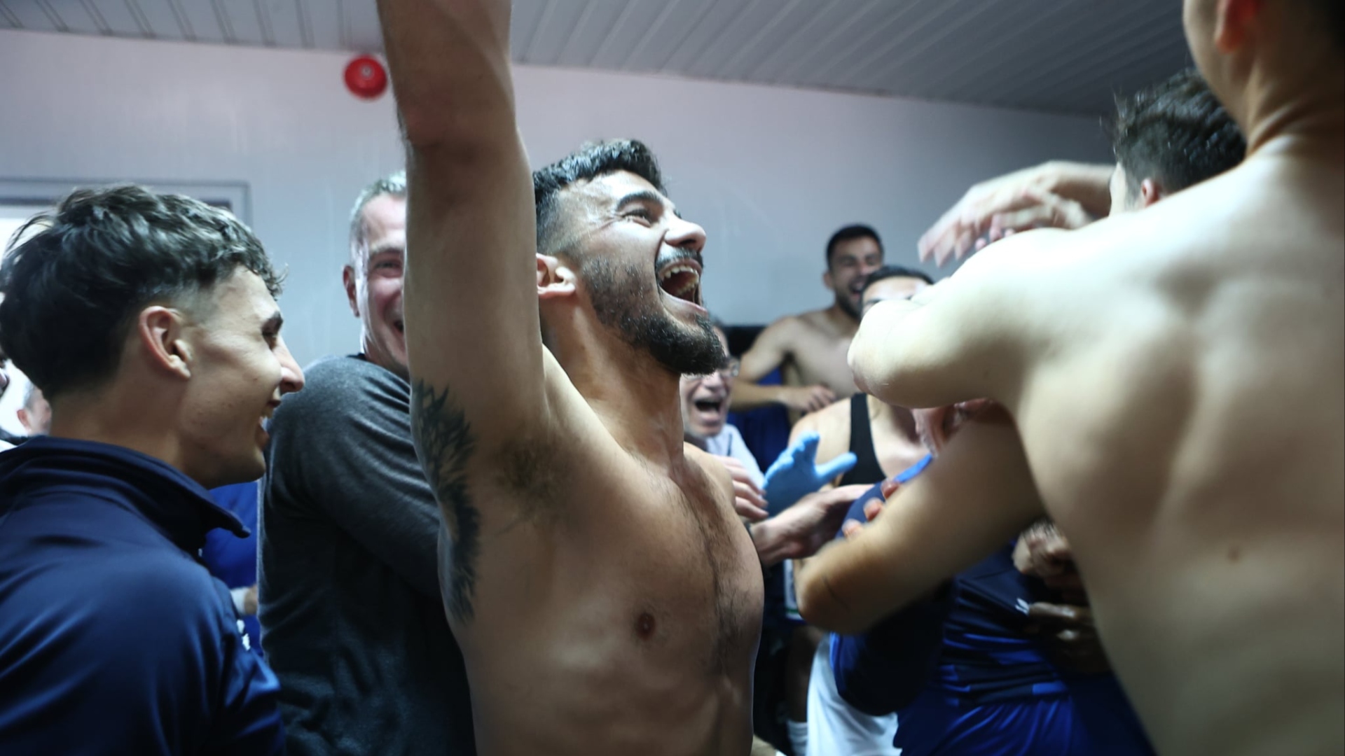 Βιγιαφάνιες 