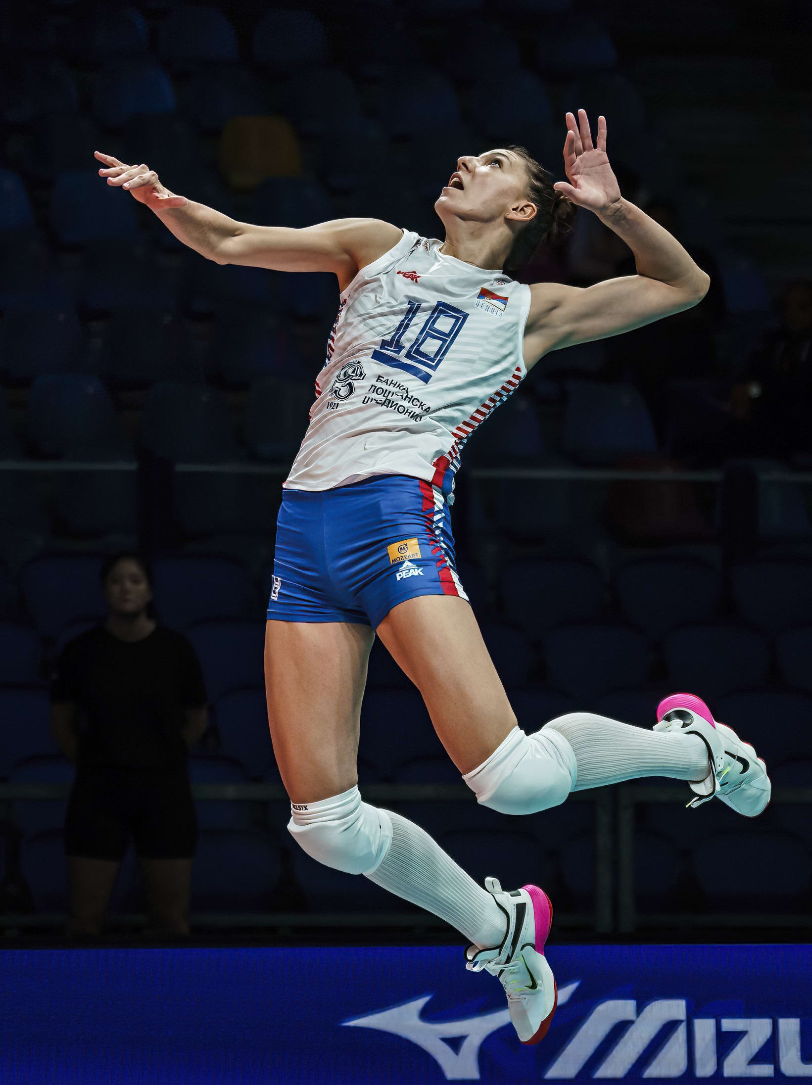 boskovic