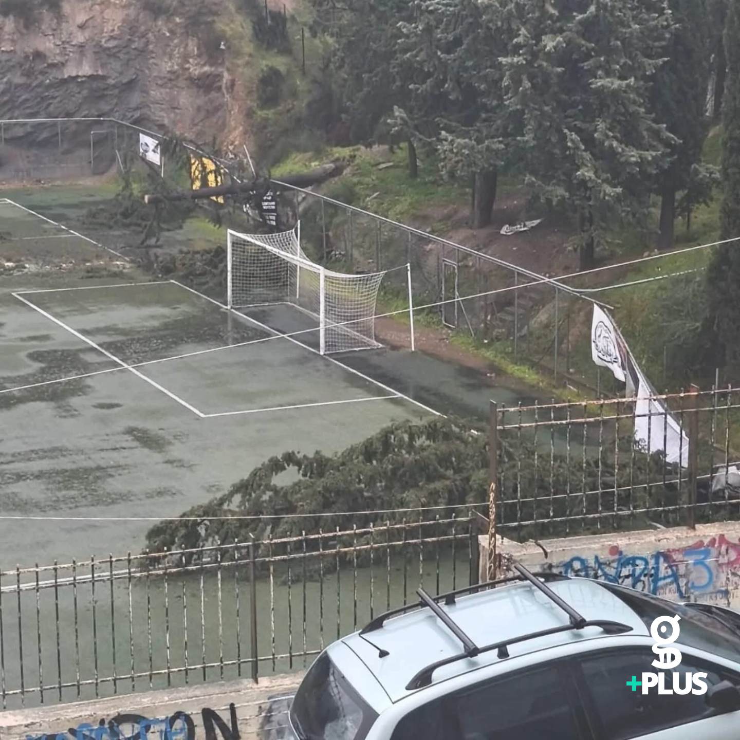 δεντρο κακοκαιρια