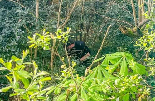 Έρευνα στο Σάουθαμπτον